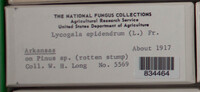 Image Associated With the Occurence
